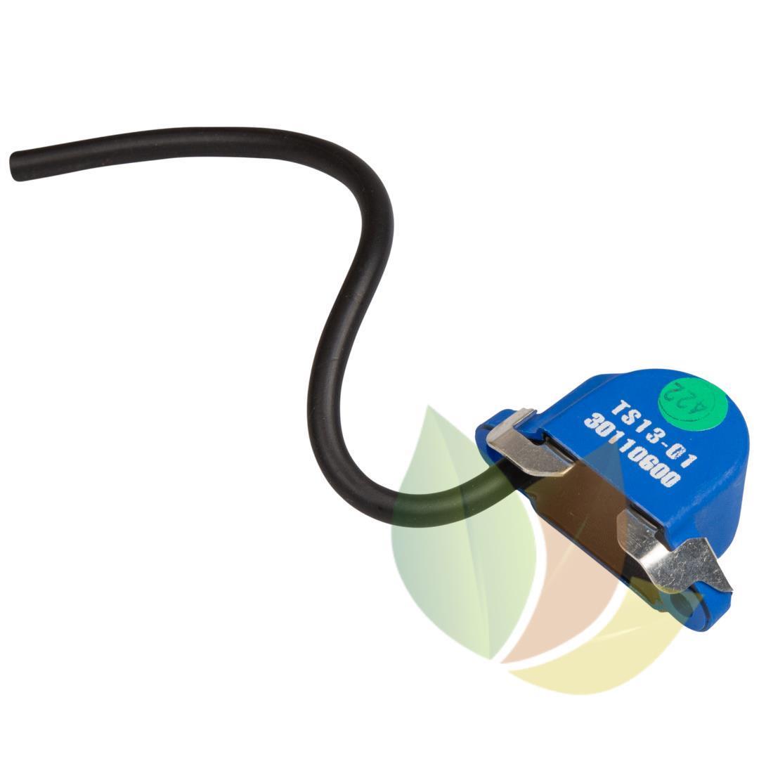 Sistema Ignição Husqvarna 281